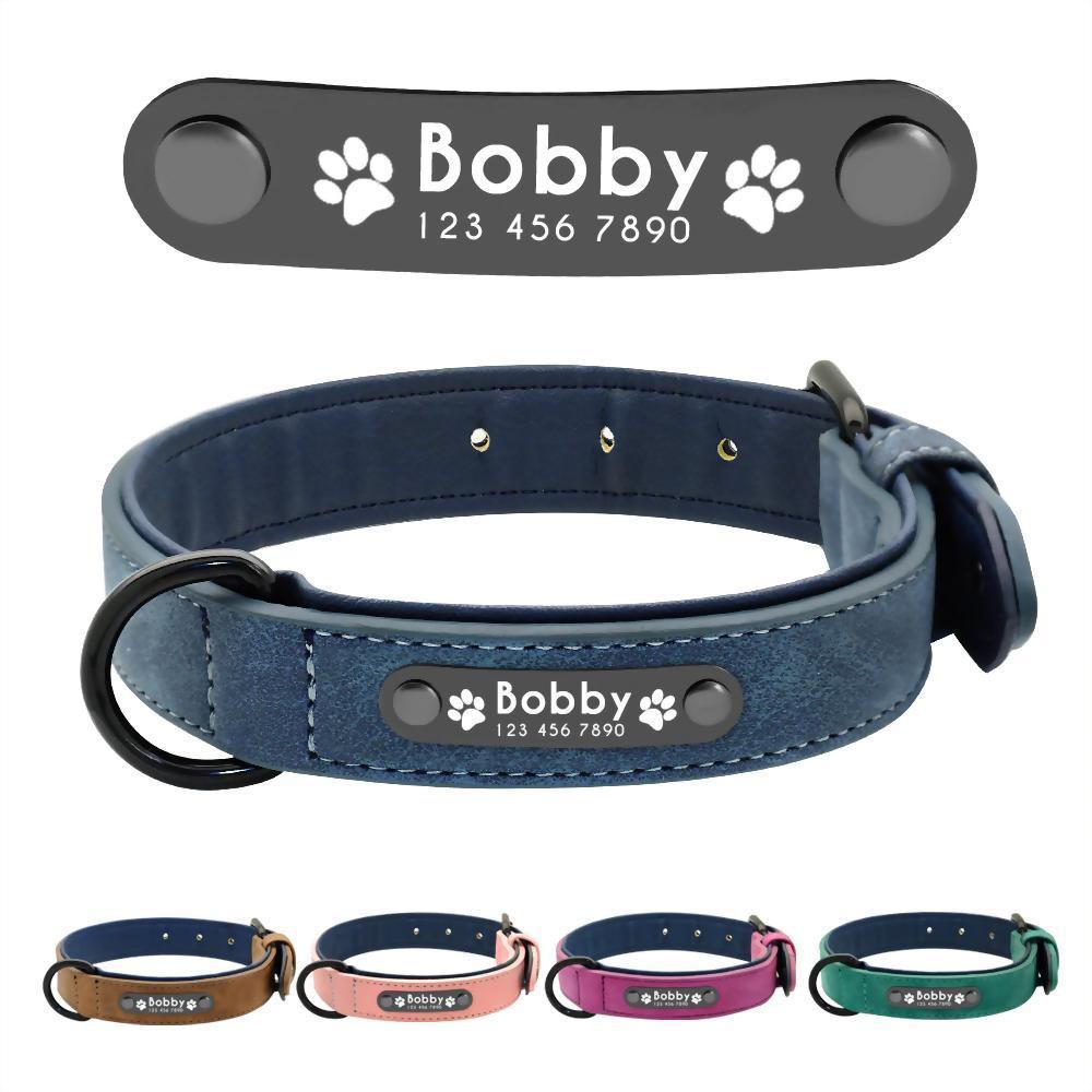 premium dog collars and leashes