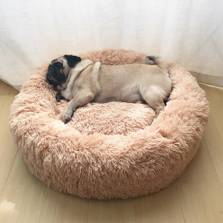 calming pet bed