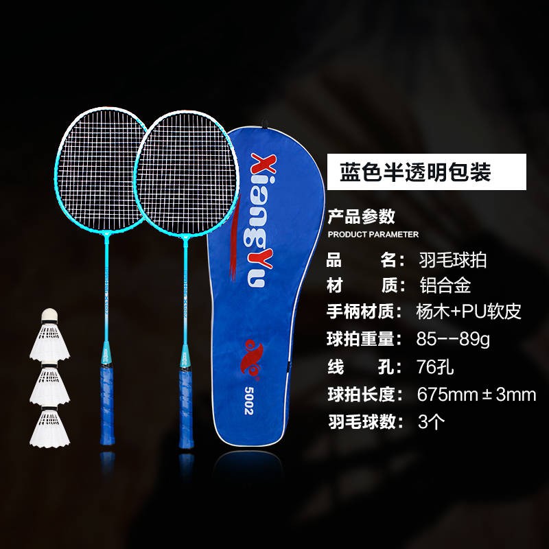 badminton cost