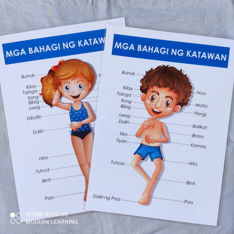 New Laminated Mga Bahagi Ng Katawan Parts Of The Body A Shopee Philippines