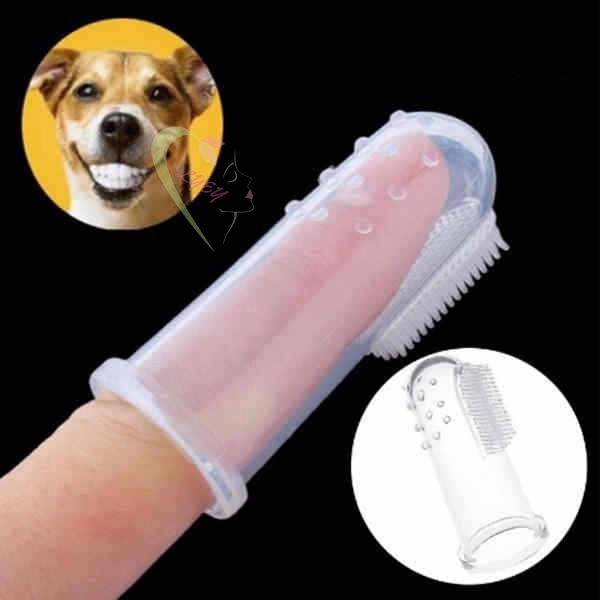 canine finger toothbrush