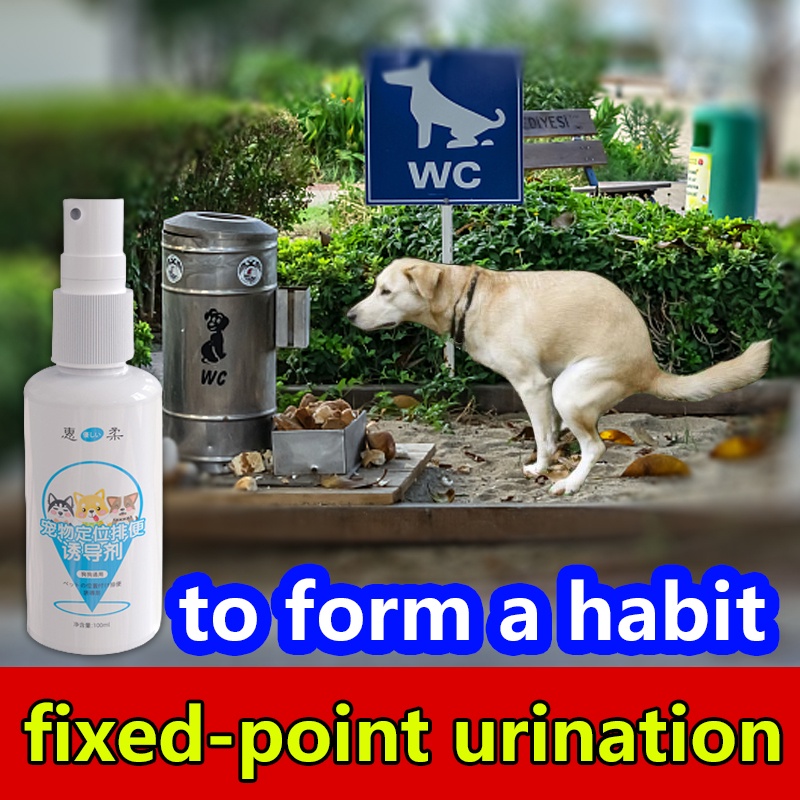 How To Teach Dog Poop In One Place