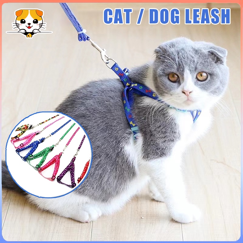 Cat Leash Dog Leash Pet Leash Puppy Leash Kitty Adjustable Nylon Leash ...