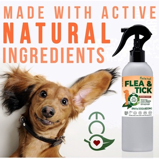 ¤Eco Natural Flea and Tick Spray for Dog and Cat Anti Tick (Garapata) Flea (Pulgas)   Lice (Kuto)