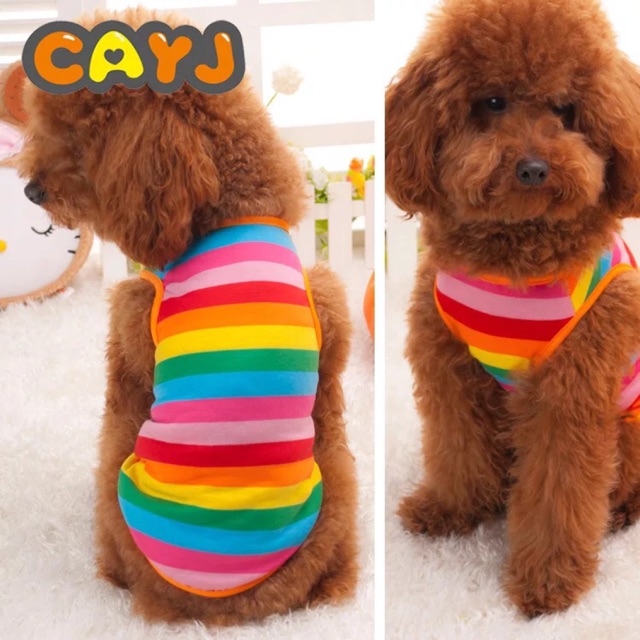Pet/Dog Rainbow clothes Shopee Philippines