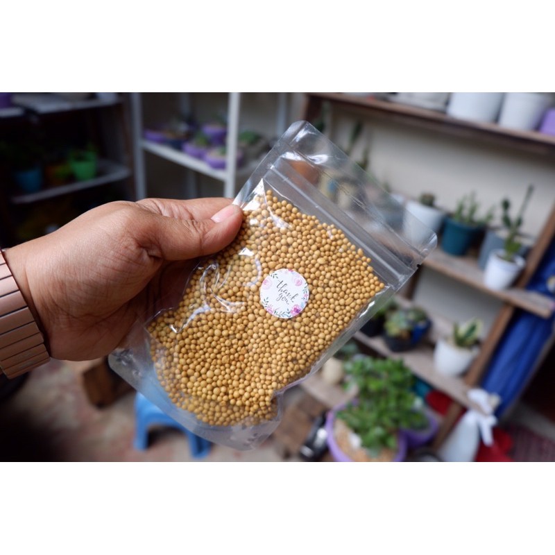 OSMOCOTE for your succulents and other plants 100grams per pack