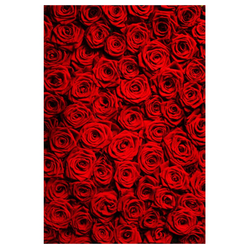Phông nền hoa hồng đỏ được chụp trong studio nhiếp ảnh sẽ đem đến cho bạn cảm giác như đang thả dáng trong một bộ ảnh chuyên nghiệp. Những cánh hoa hồng đỏ và màu nền đen tạo nên sự hấp dẫn kỳ lạ cho bức ảnh của bạn.