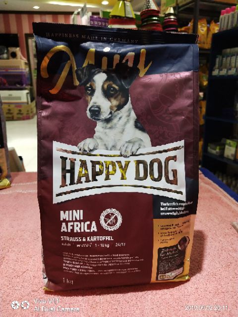 mini africa happy dog