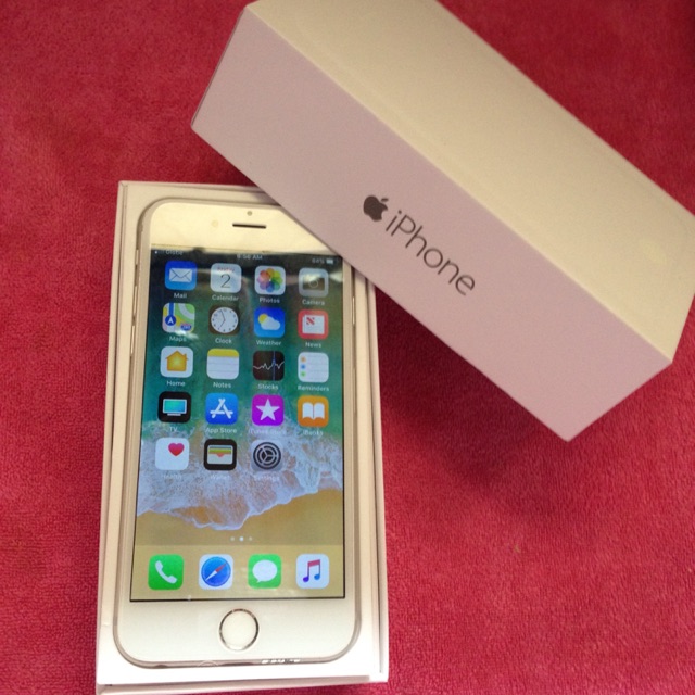 Iphone 6 64gb Factory Unlock Any Sim 100 Original Shopee Philippines