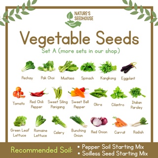 Vegetable Seeds Collection Set A Top-Quality Seeds