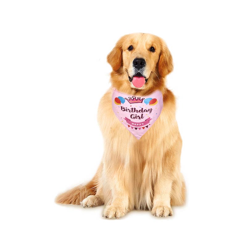 puppy golden retriever with party hats on