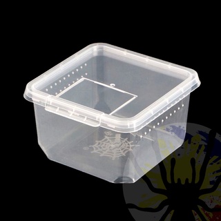 (Wholesale) Square Terrestrial Breeding Box (Medium) | Terrarium | Cage | Enclosure for Tarantula #2