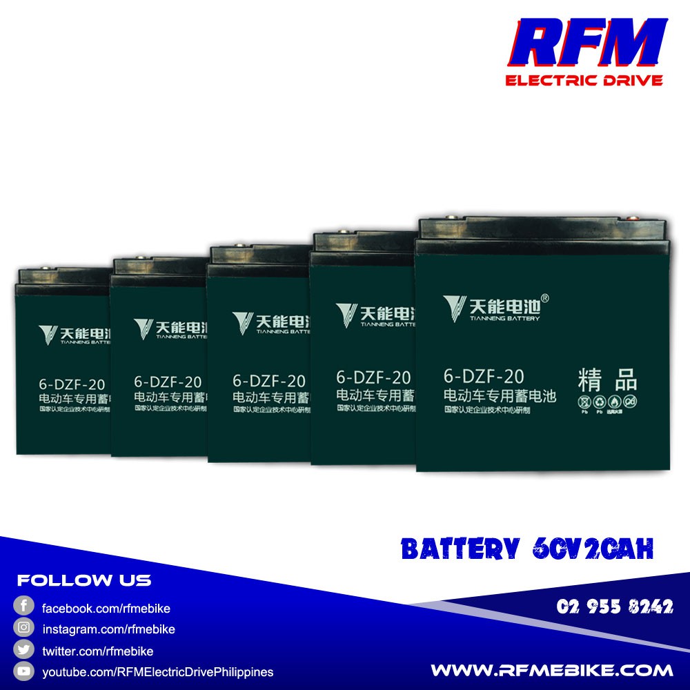 ecobike battery