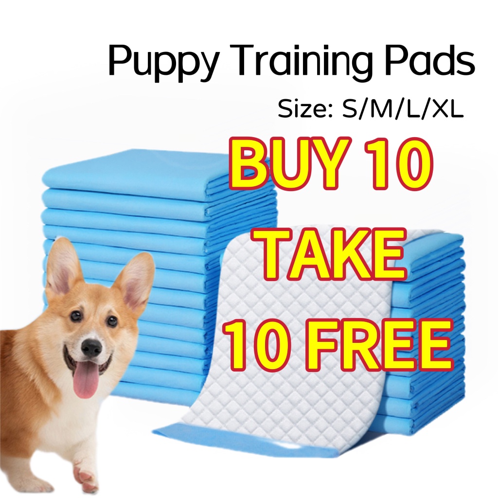 can dogs poop on pee pads