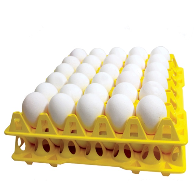 EGG TRAY PALLET (25 pc) 30s for Medium/Large/XL Eggs | Shopee Philippines