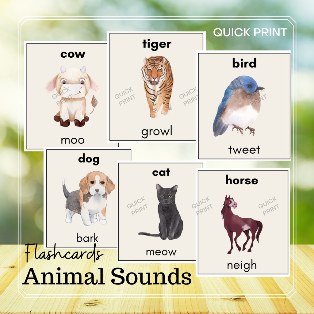 Animal Sounds Flashcards Laminated Learning Material for kids 2x3