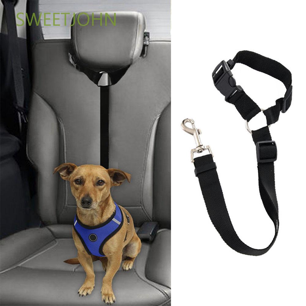 seat belt dog collar