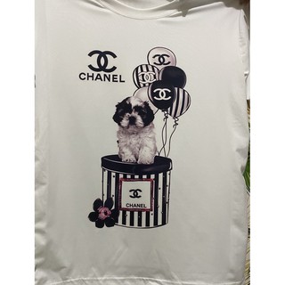 preloved tibetan spaniel