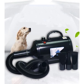 Pet fast drying blower 2800W Power Hair Dryer For Dogs Pet Dog Cat Grooming Blower