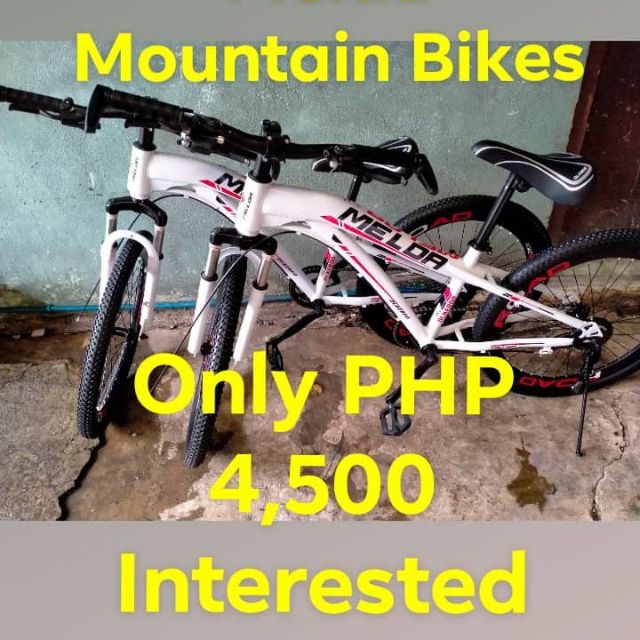 Melda Mountain Bike Php 4 500 Shopee Philippines