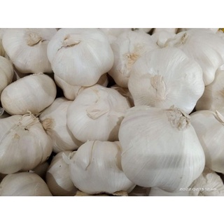 Bawang Garlic L.k.k (1kg per Order)