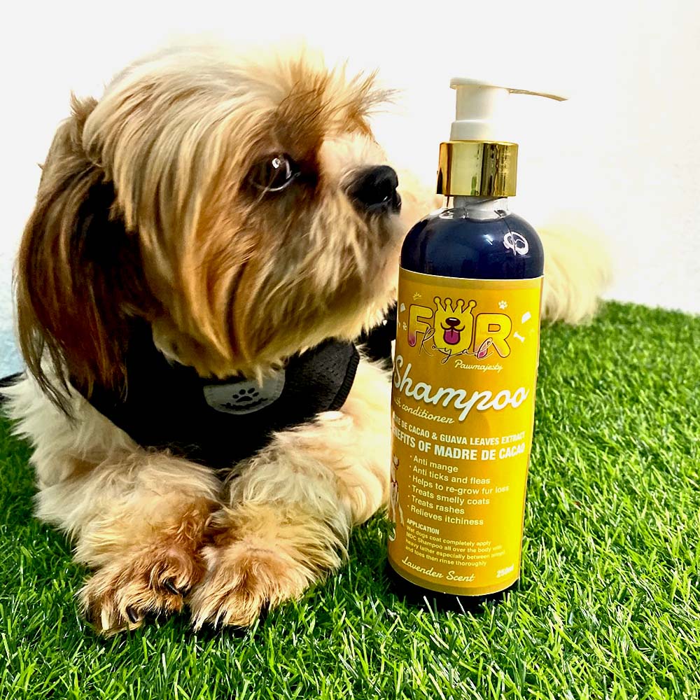Organic Madre De Cacao Dog Shampoo Cat Anti Flea and Tick Shampoo