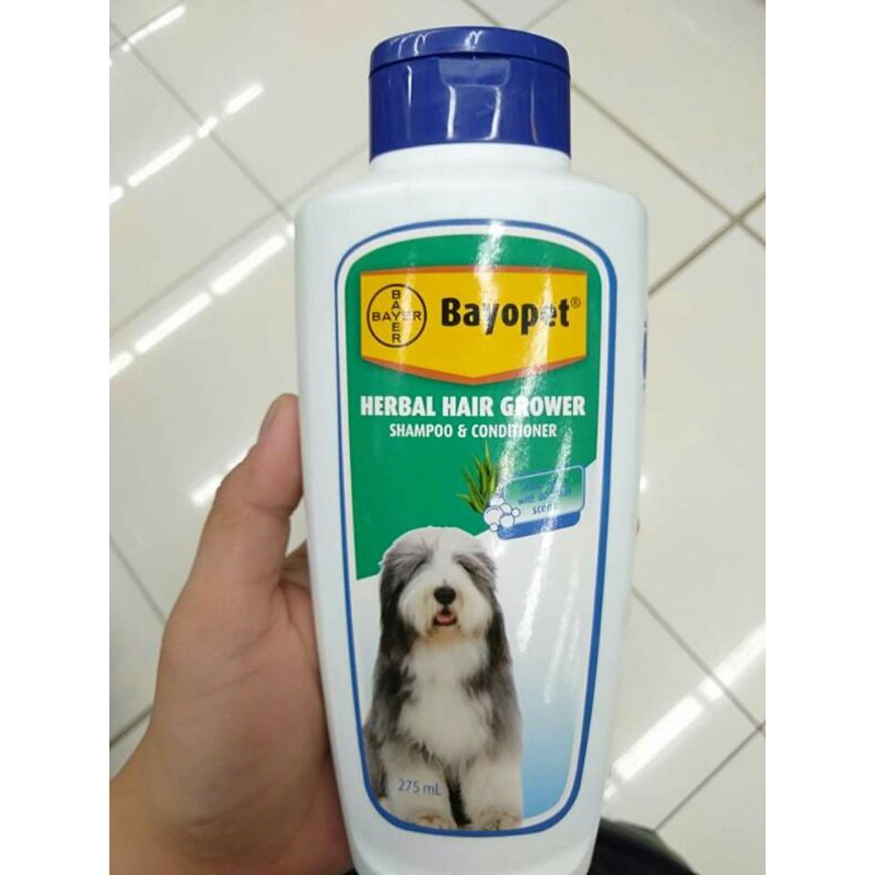 Shampoo For Shih Tzu Philippines atelieryuwa.ciao.jp