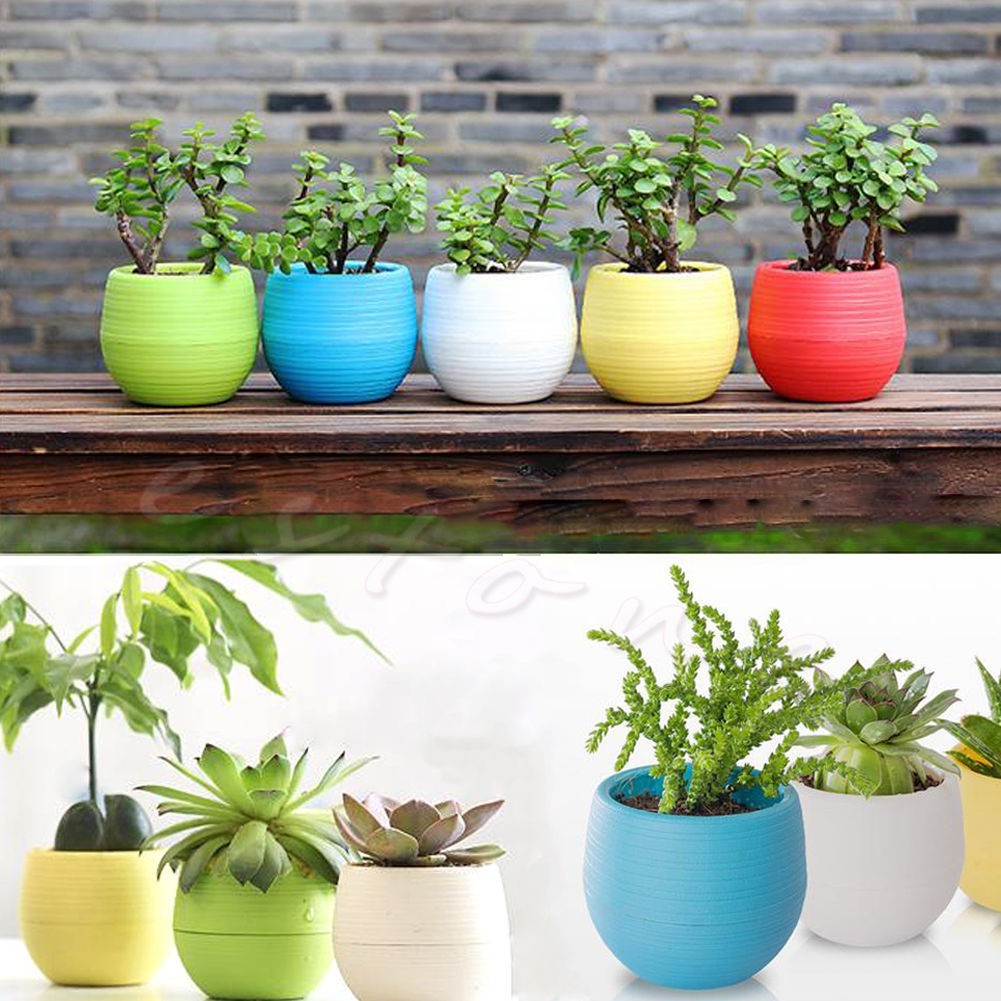 1pcs Random Color Colourful Mini Plastic Flower Pot Succulent Plant Flowerpot Home Office Room