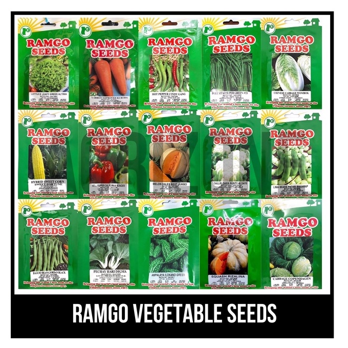 Ramgo Vegetable Seeds Lettuce Leafy Carrot Hot Pepper Pole Sitao 