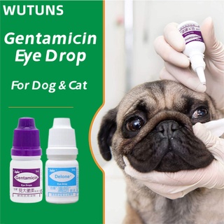 Pet eye drops Gentamicin Eye Drops for Pet Cat Dogs Eye Infection treatment