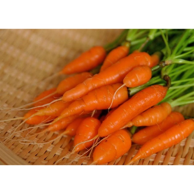 Baby Carrot Seeds / Carrot Seeds Shopee Philippines