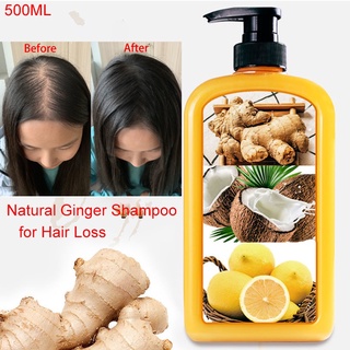 Ginger Hair Shampoo Fast Regrowth Hair Thick Shampoo Anti Loss Oil Control Supple and Increase Hair