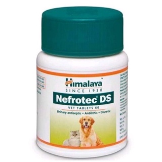 Nefrotec DS 60 tablets Himalaya