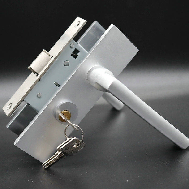 5745 Large single tongue oxidize space aluminum door lock universal