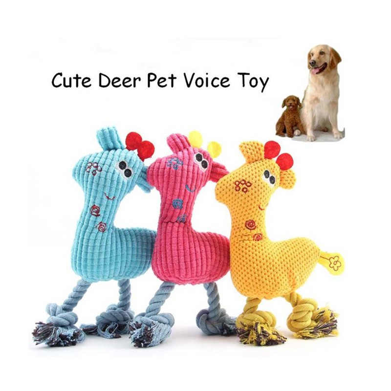 toy pet dog