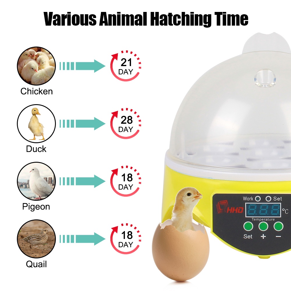 Brooder Poultry Incubator Automatic for Chicken Duck Bird Pigeon Mini Egg Incubator #6