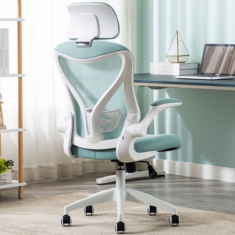 Berlis Computer Chair Study Room Office Home Student Learning Ergonomic