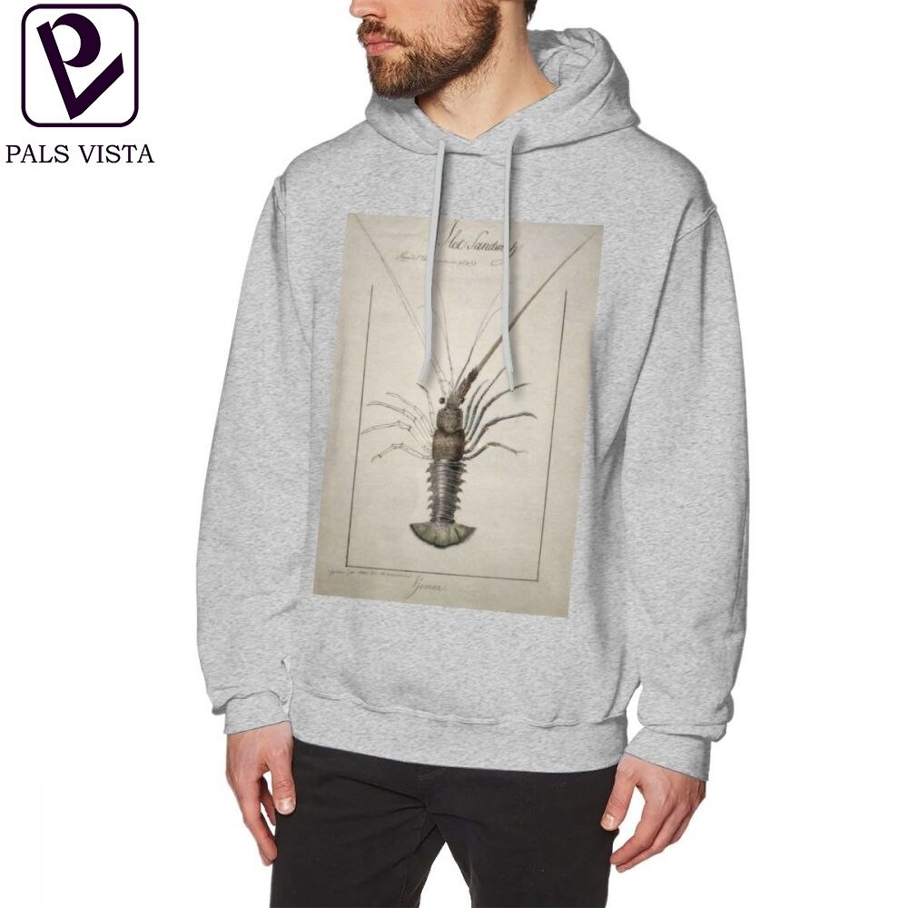 stylish pullover hoodies
