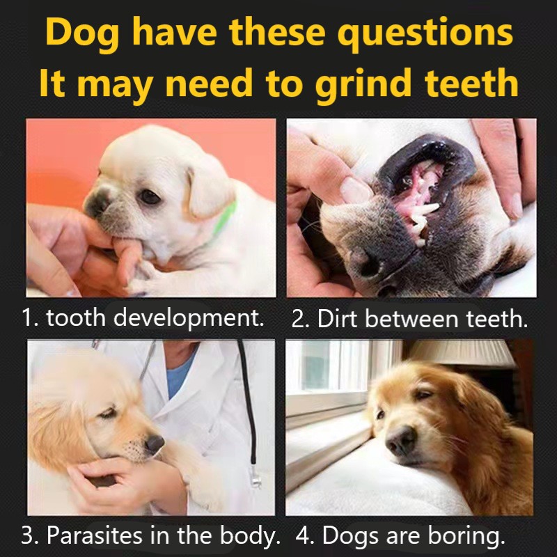 210g My Dog Nutrition Dental Sticks (20+ sticks) Dentastix Dentastick Pet Dog Snack Pet Dog Treats