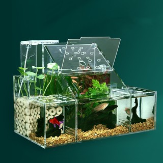【Aquarium】  Large Size Ecological Fish Tank Small Fish Isolation Box Circulating Water Filter Fish