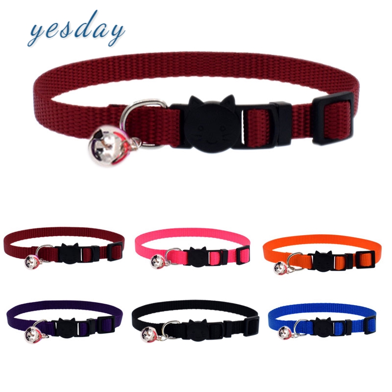 dog and cat collars