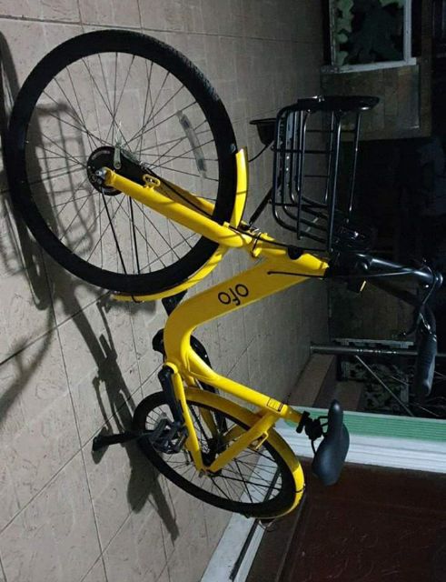 ofo contact