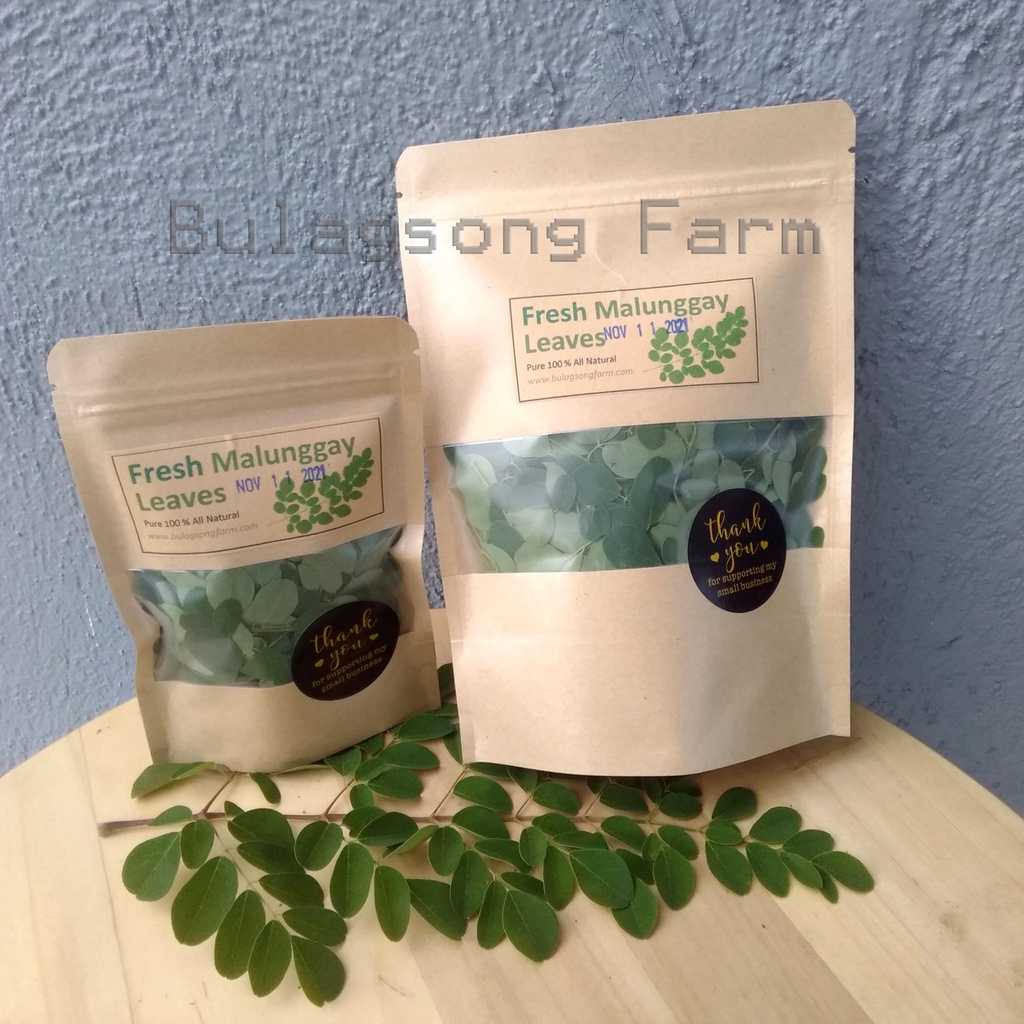 fresh-malunggay-leaves-harvest-upon-order-25g-50g-100g-shopee