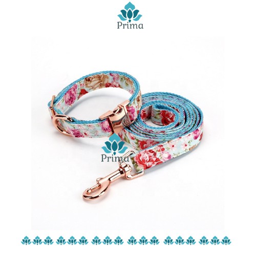 dog collars and leash sets