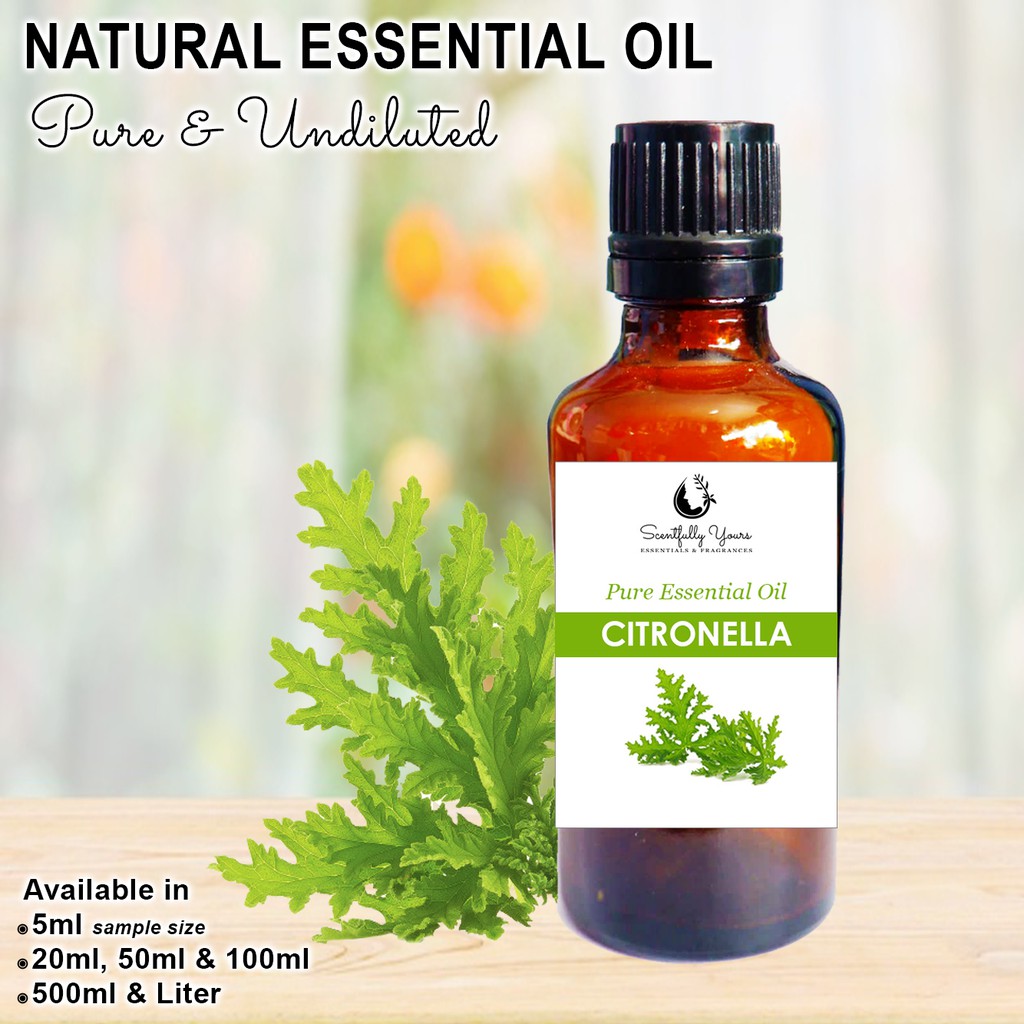 CITRONELLA - Natural Pure Essential Oil (20ml - 100ml) | Shopee Philippines