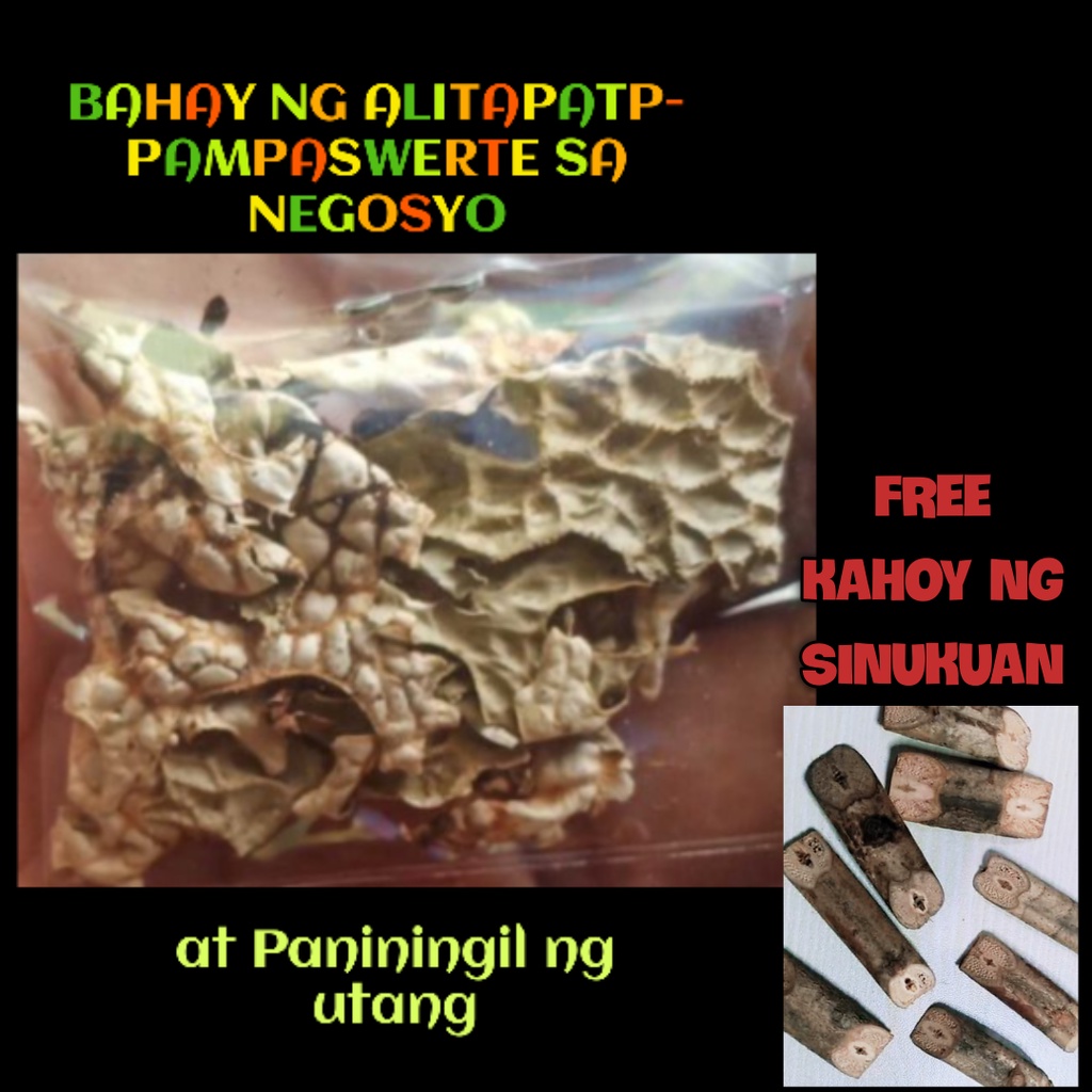 Bahay ng Alitaptap[Free sinukuan na kahoy] Pampaswerte sa negosyo