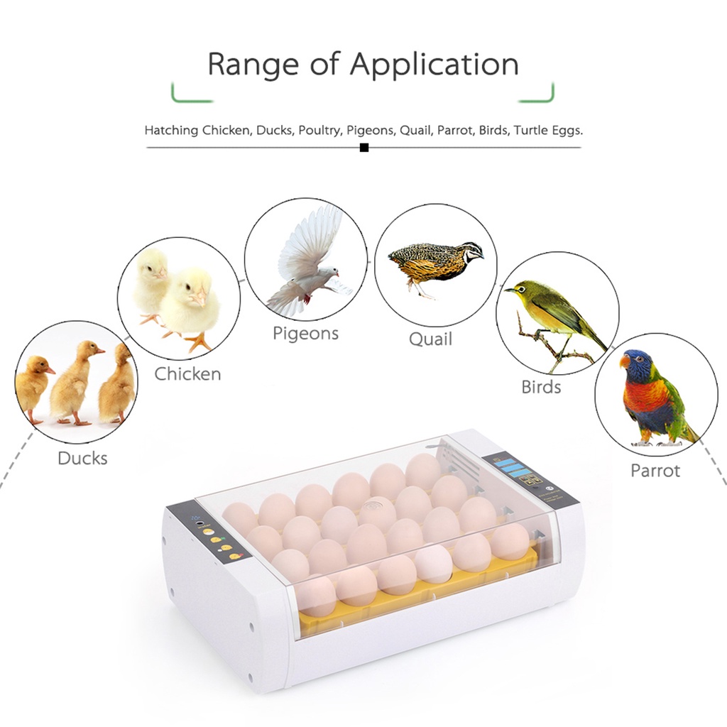 Chicken Egg Incubator,Egg Incubator with Automatic Egg Turning and Humidity Control,Egg incubatorSuitable for Chickens Turtle and Birds 
