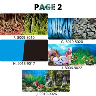petsRealistic Colorful Aquarium Background Wallpaper 12 & 18 Inches PER METER PRECUT Back To Design #3