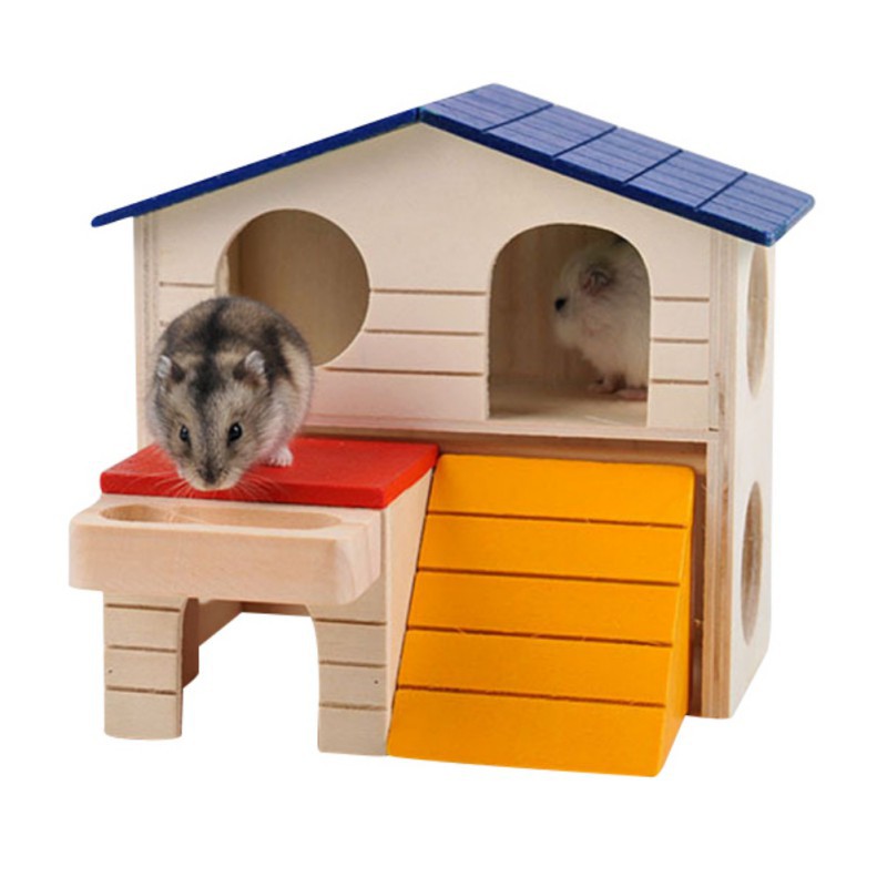 hamster house