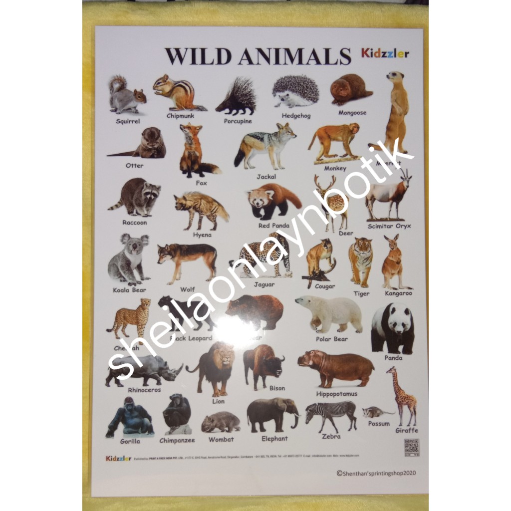 Laminated chart - wild animals | Shopee Philippines